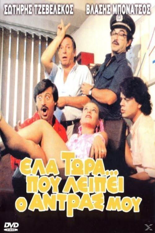 Έλα Τώρα που Λείπει ο Άντρας μου (1986) poster