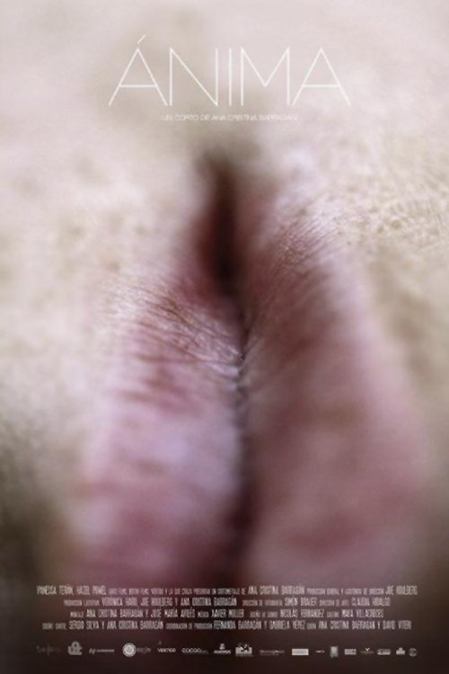 Anima (2013) poster