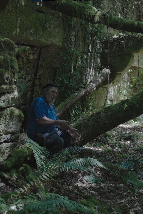 O Seixoval. A montaña máxica (2025) poster