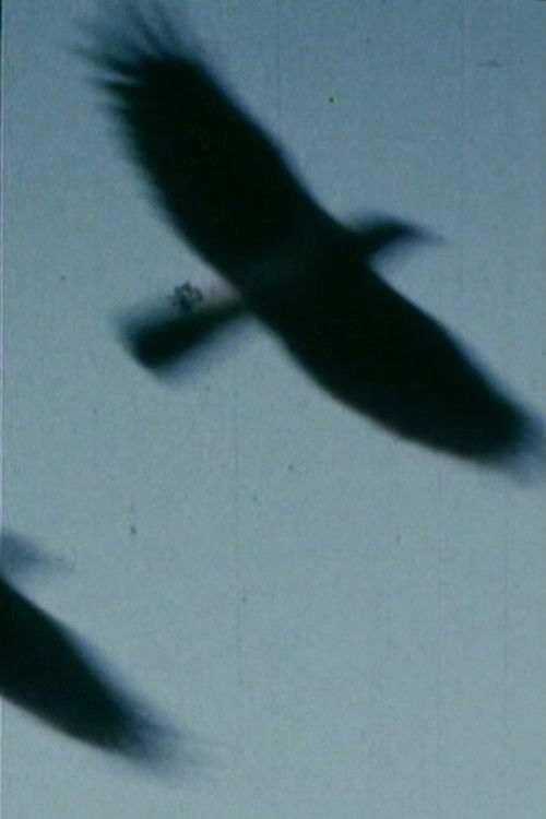 Tell Me (2019) poster