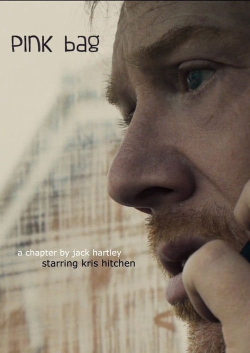 Pink Bag (2021) poster