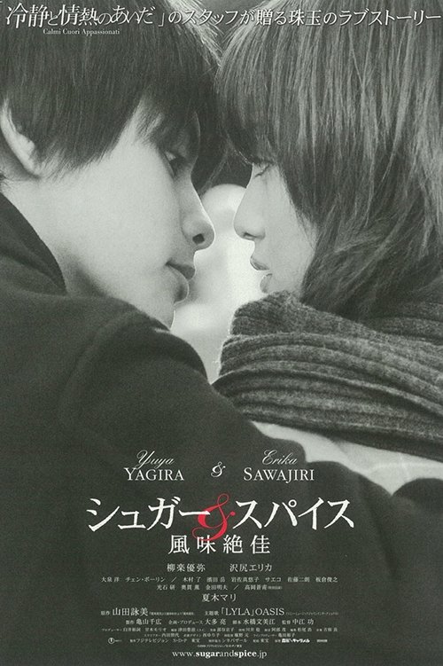 Sugar & Spice (2006) poster