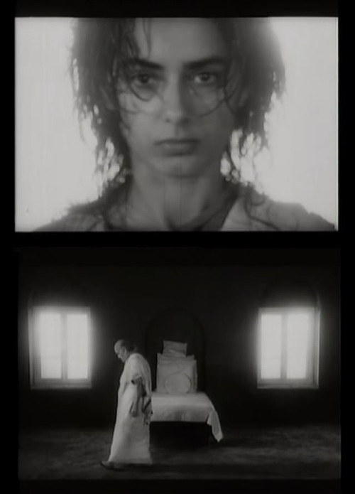 The Wisdom Tree (1985) poster