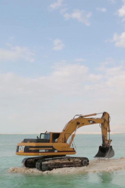 Your Body is a Mine (2019) poster