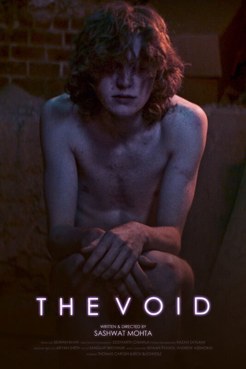 The Void (2024) poster