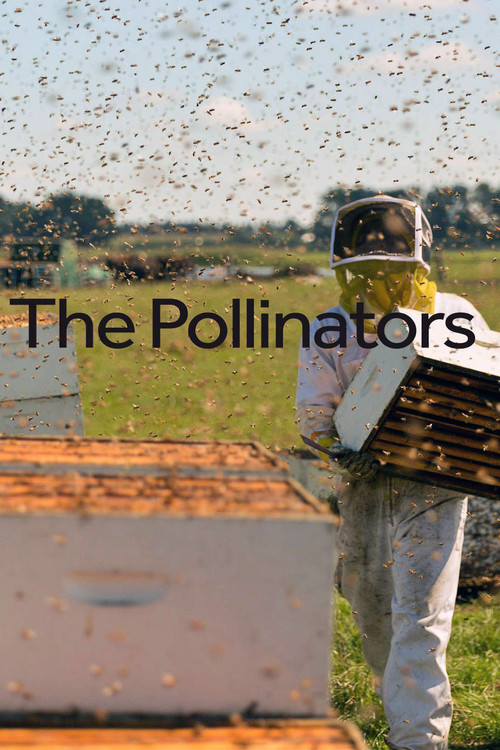 The Pollinators (2019) poster