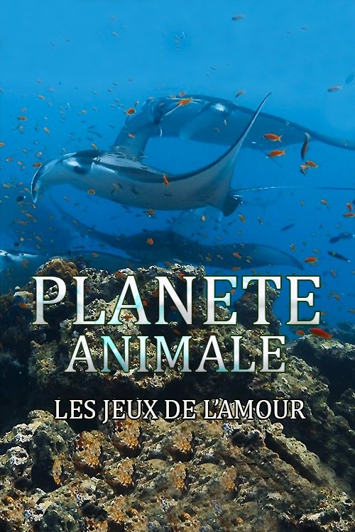 Planète Animale : Les jeux de l'amour (2022) poster