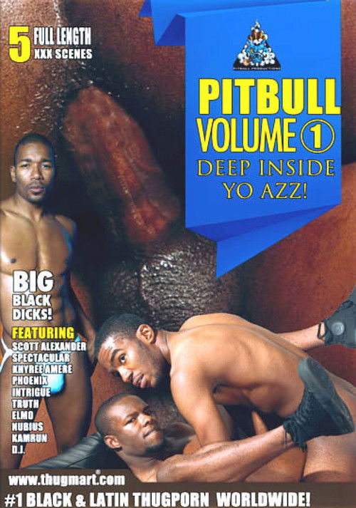 Pitbull 1: Deep Inside Yo Azz (2012) poster
