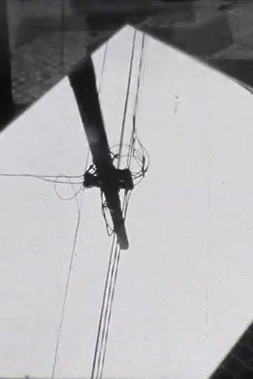 Visão 2013 para Roberto Piva (2018) poster