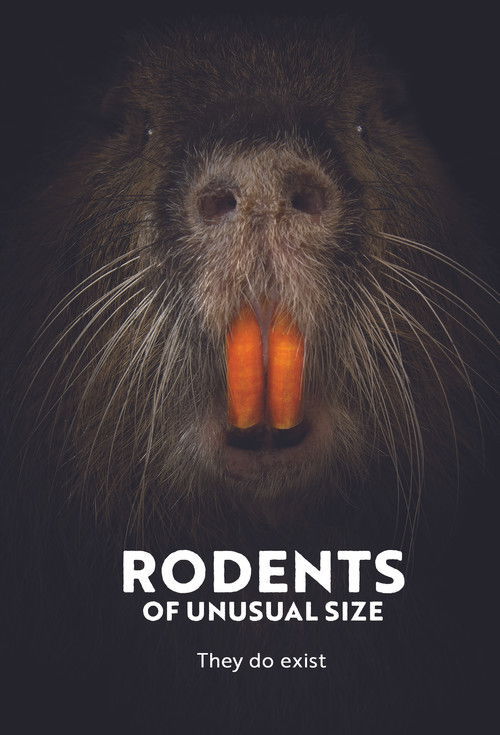 Rodents of Unusual Size (2017) poster