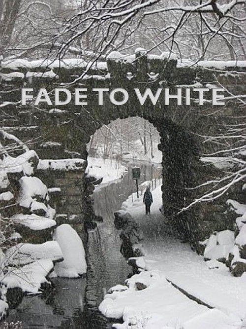 Fade to White (2014) poster
