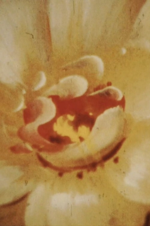 Last Day of Capricorn (2013) poster