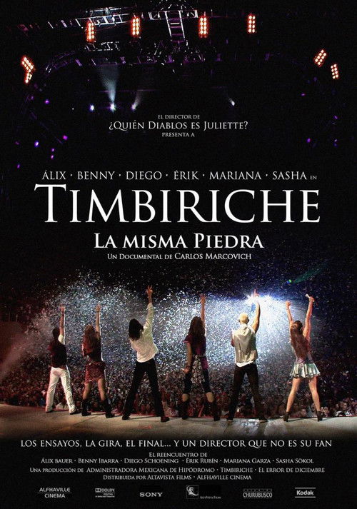 Timbiriche: La misma piedra (2008) poster
