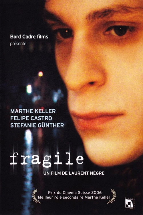 Fragile (2006) poster