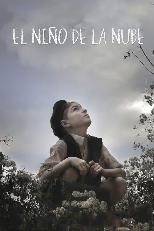 El niño de la nube (2019) poster