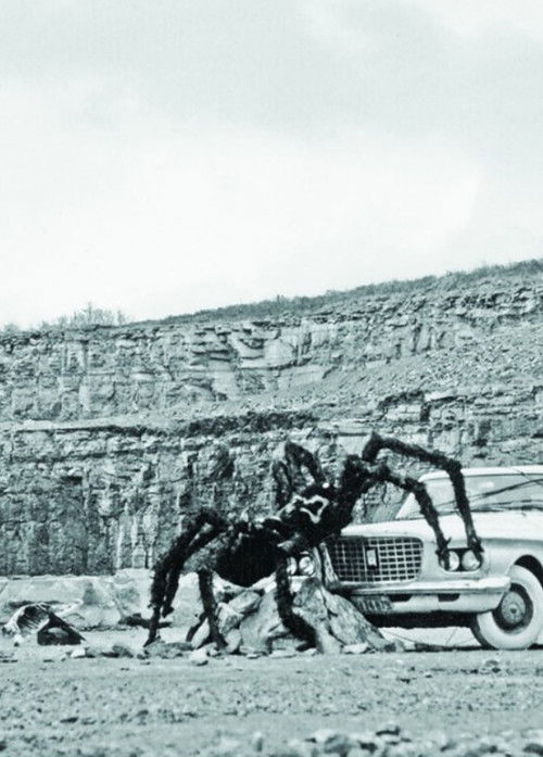 Tant que s'illuminera l'animal stratifié (1965) poster