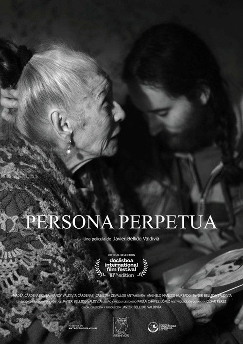 Persona Perpetua (2020) poster