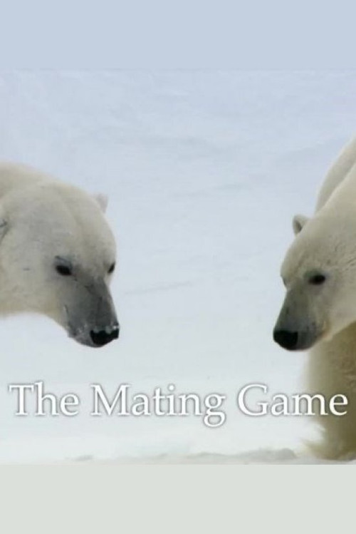 The Mating Game (2013) poster