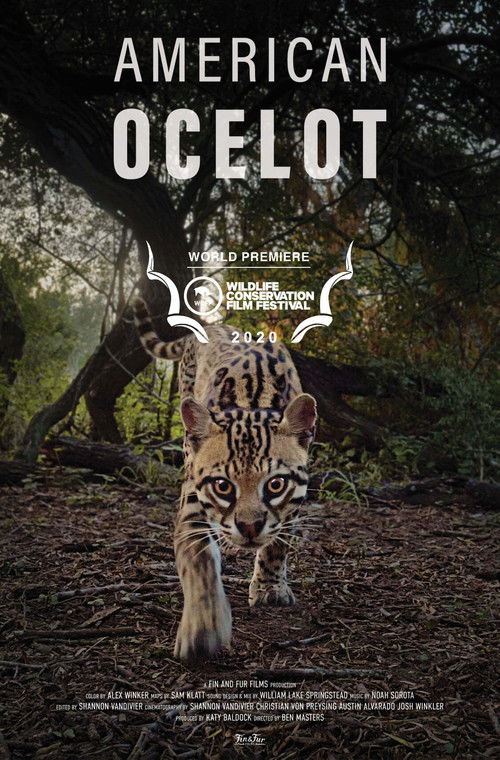 American Ocelot (2021) poster