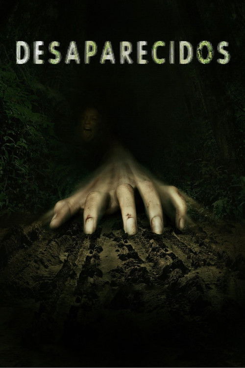 Desaparecidos (2011) poster