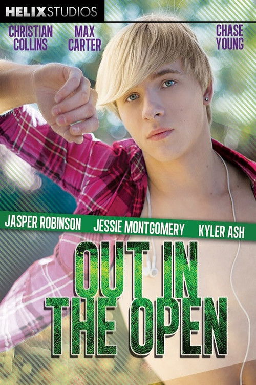 Out in the Open (2013) poster