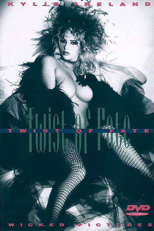 Twist of Fate (1996) poster