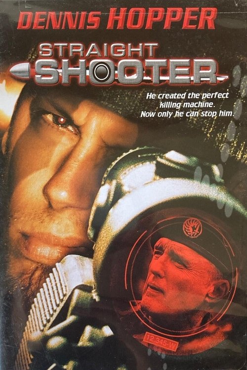 Straight Shooter (1999) poster