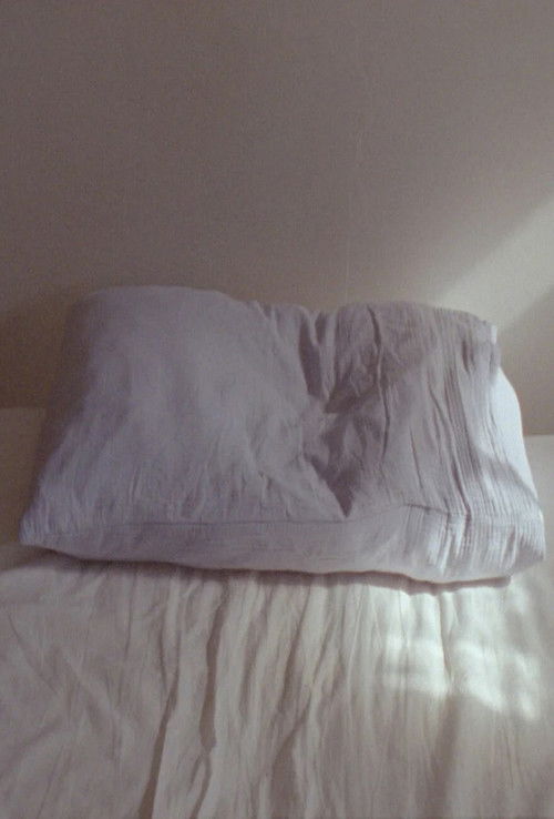 pillow bowl rose tree (2023) poster