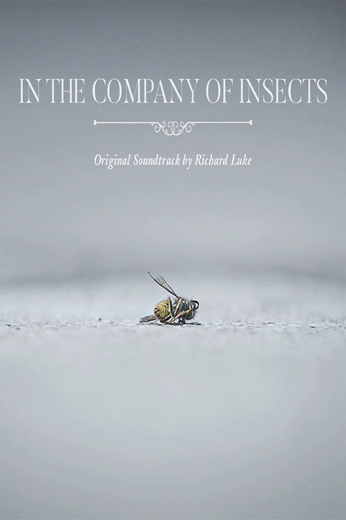 In the Company of Insects (2020) poster