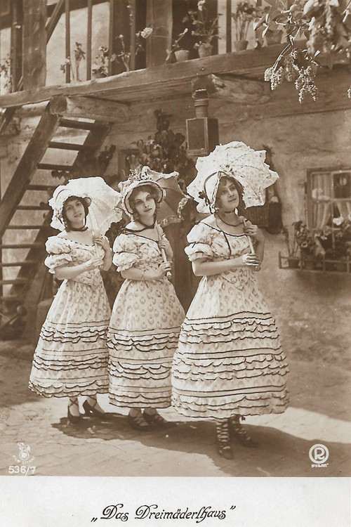 Das Dreimäderlhaus (1918) poster