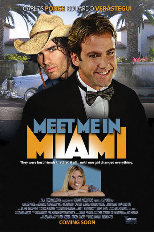 Meet Me in Miami (2005) poster
