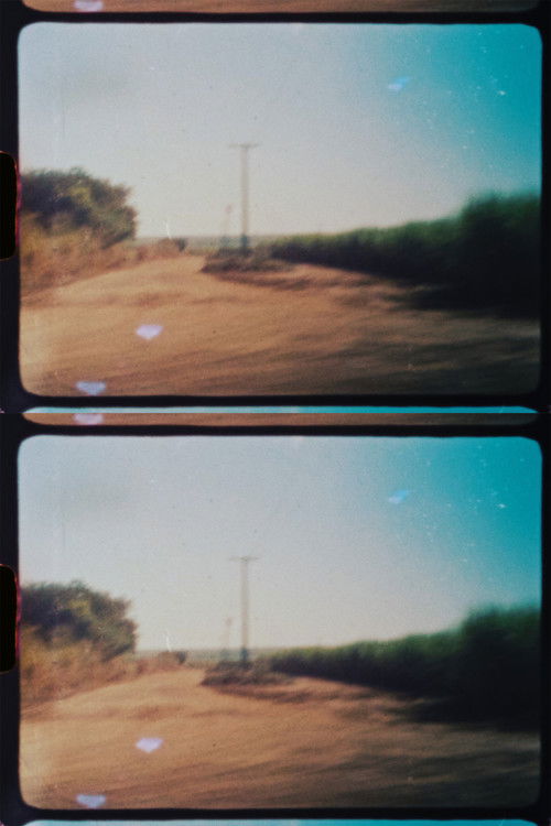 Road to Santo Antônio da Alegria (2022) poster