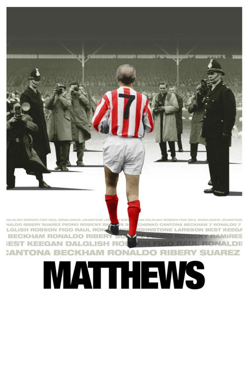 Matthews (2017) poster