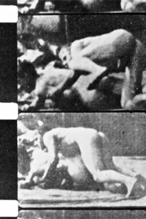 Filming Muybridge (1981) poster