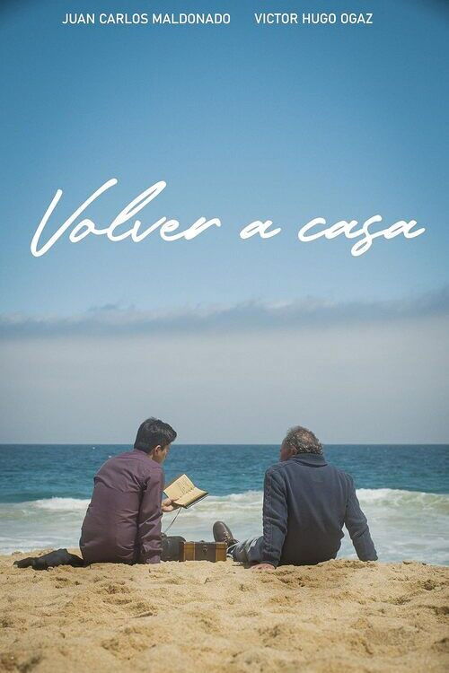 Volver a casa (2022) poster