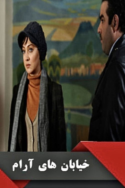 خیابان‌های آرام poster