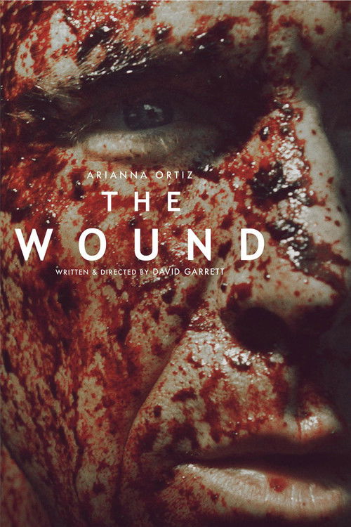 The Wound (2013) poster