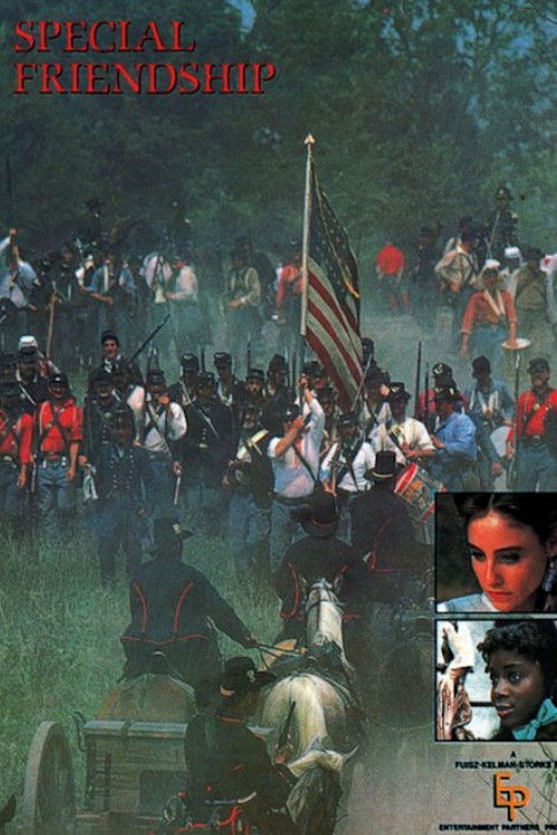 A Special Friendship (1987) poster