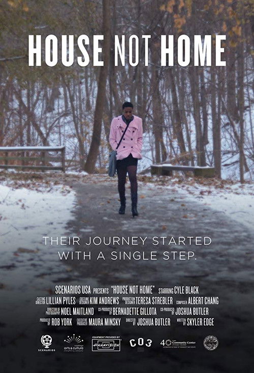 House Not Home (2015) poster