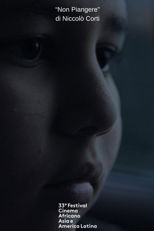 Don't Cry (2024) poster