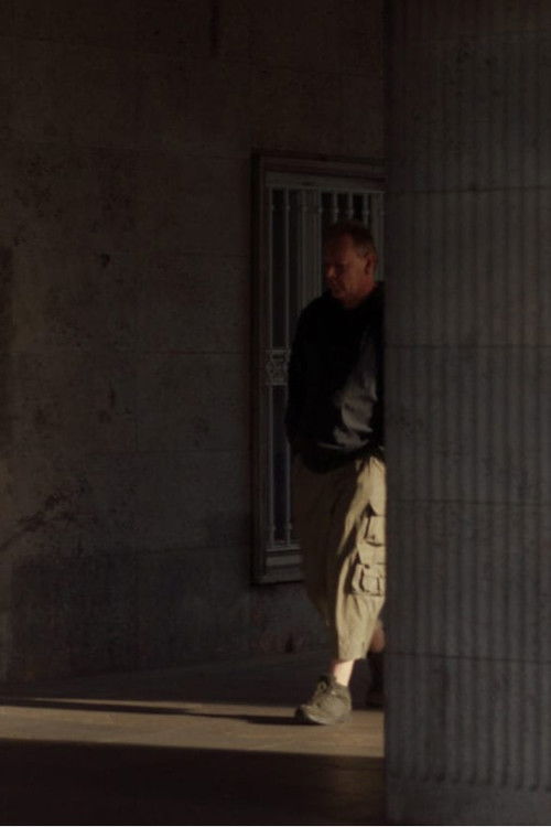 The Perfect Spectator (2017) poster