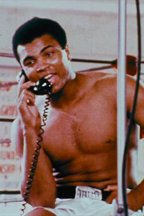 The Fight (1974) poster