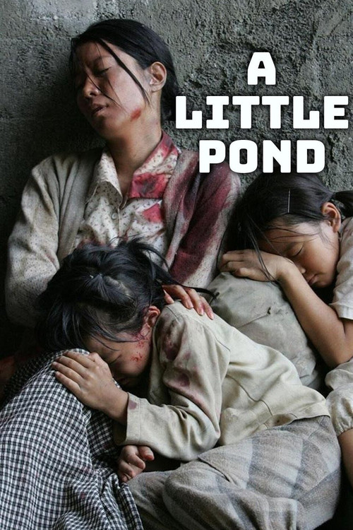 A Little Pond (2010) poster