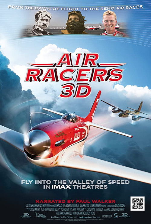 Air Racers 3D (2012) poster