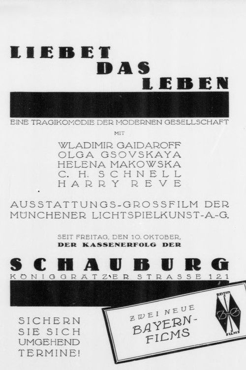 Liebet das Leben (1924) poster