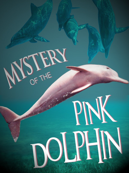 The Mystery of the Pink Dolphin (2015) poster