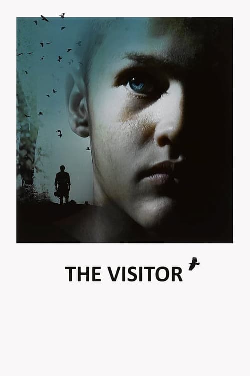 The Visitor (2008) poster