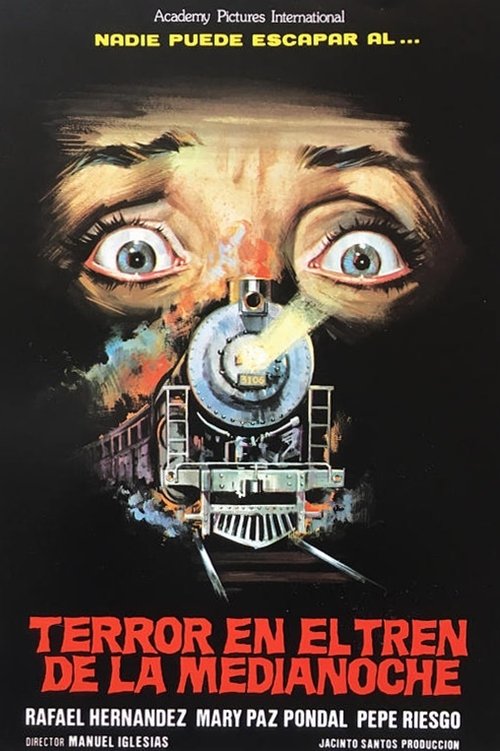 Terror on the Midnight Train (1980) poster