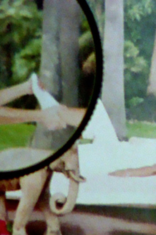 La veglia (2010) poster