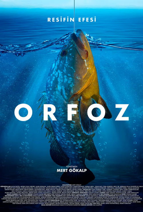 Orfoz: Resifin Efesi (2021) poster